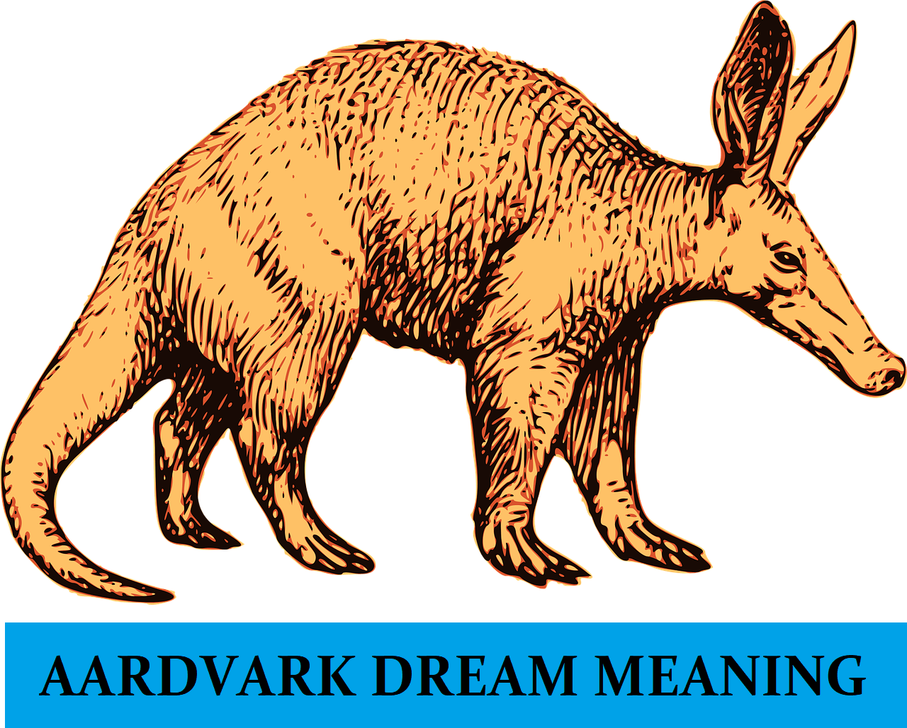 Dream About Aardvark