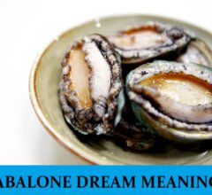 Dream About Abalone