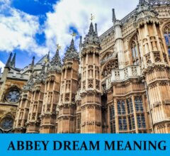 Dream About Abbey