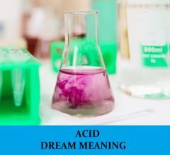 Dream About Acid