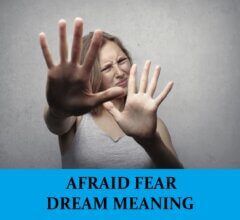 Dream About Fearful