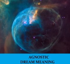 Dream About Agnostic