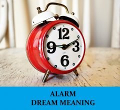 Dream About Alarms