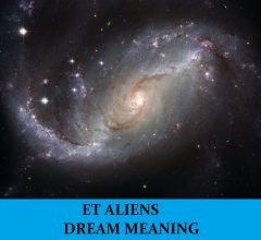 Dream About Alien ET
