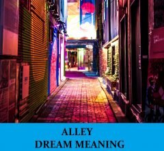 Dream About Alleyway