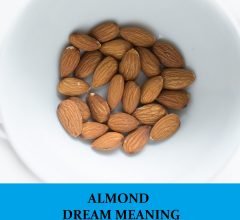 Dream About Almond