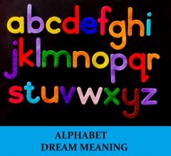 Dream About Alphabets