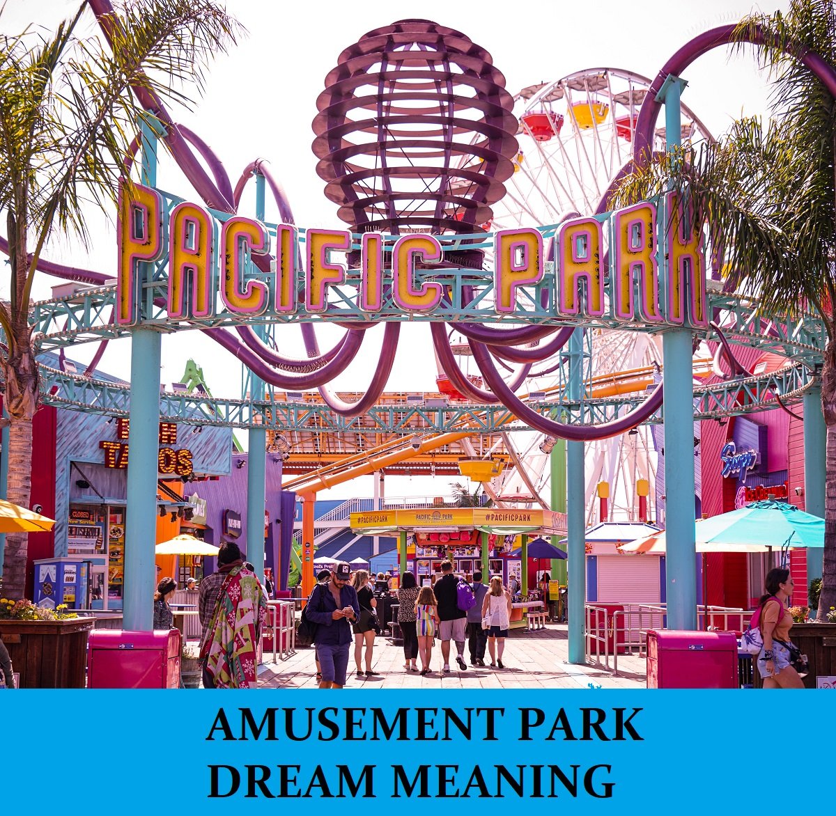 Dream About Amusement Park