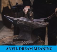 Dream About Anvil