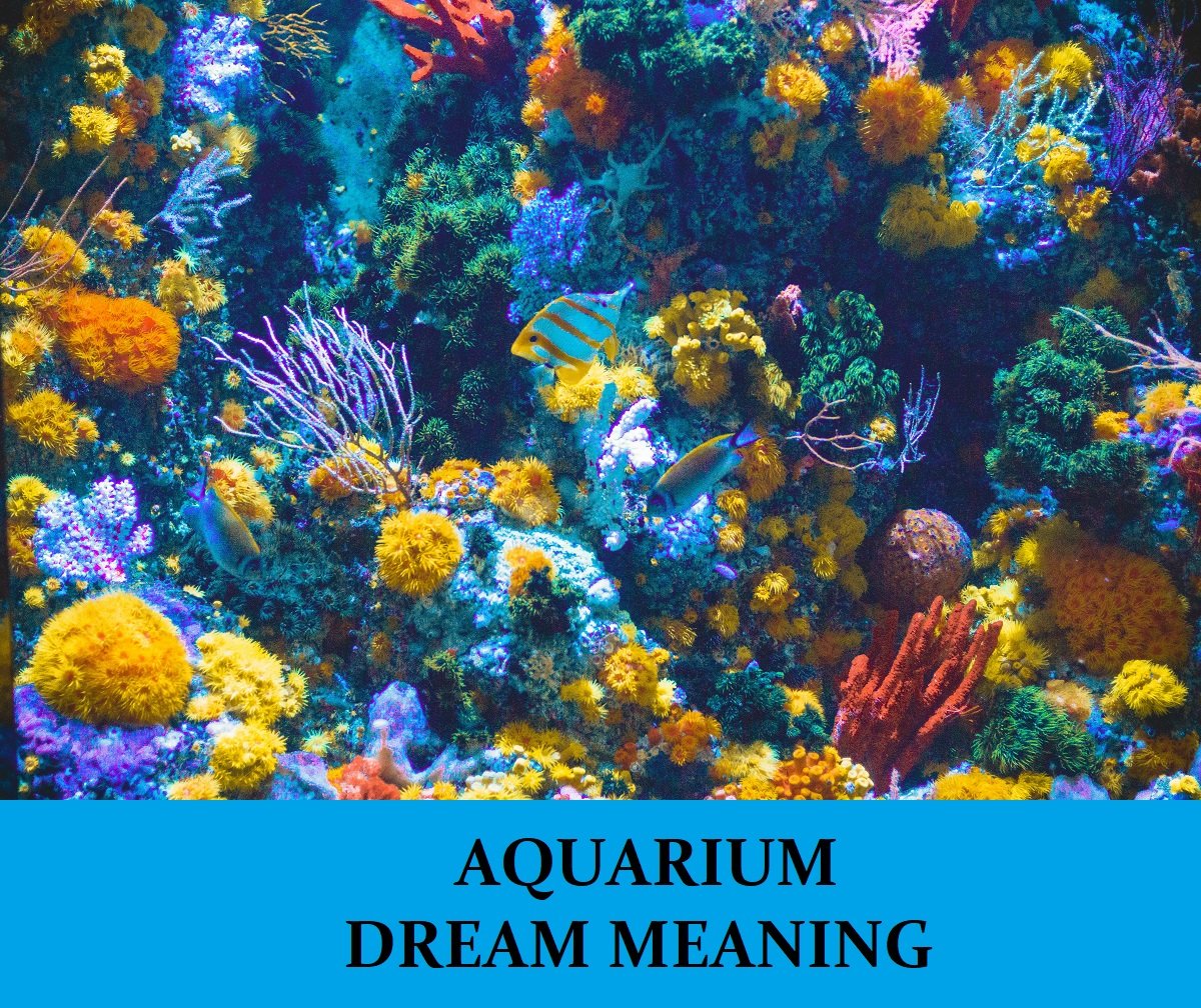 dream meaning underwater
