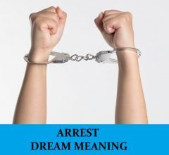 Dream About Arrested
