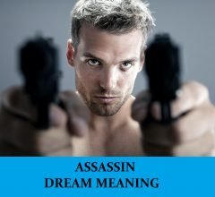 Dream About Assassins
