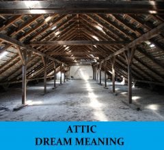 Dream about Attic