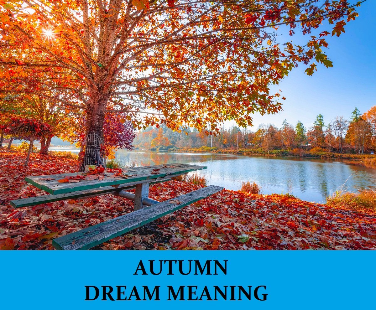 Dream About Autumn