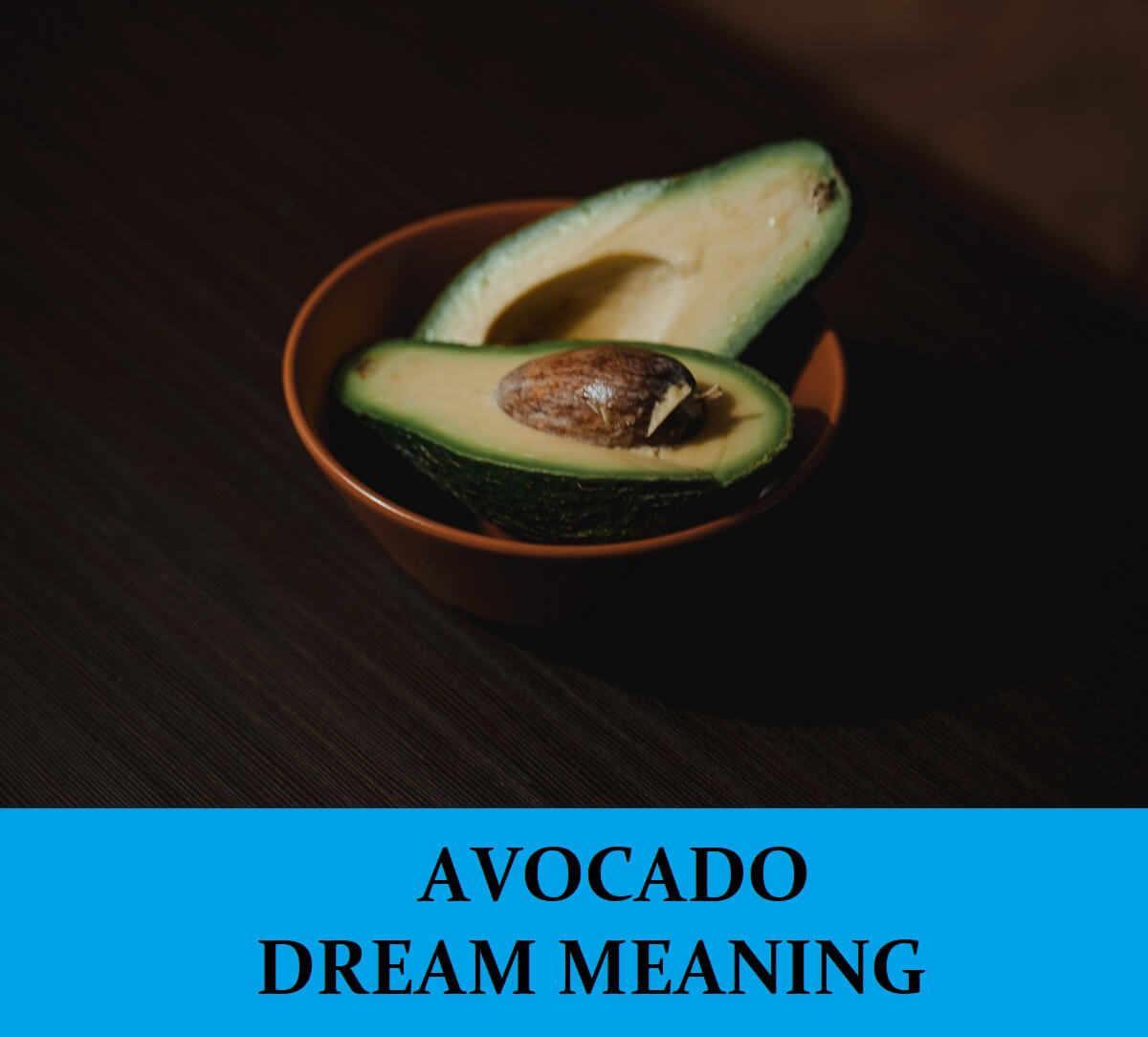 Dream About Avocados