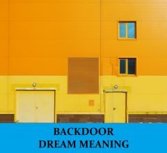 Dream About Backdoor