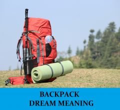 Dream About Backpacks