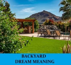 Dream About Backyard