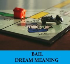 Dream About Bail