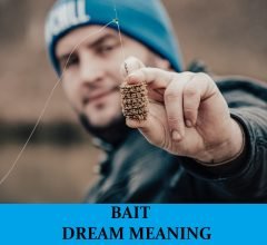 Dream About Baits