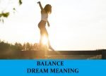 Dream About Balancing