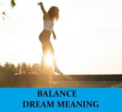 Dream About Balancing