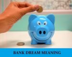 Dream About Bank