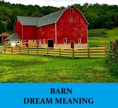 Dream About Barns