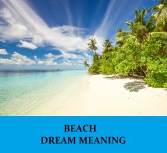 Dream About Beach