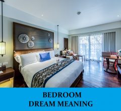 Dream About Bedroom