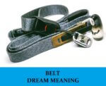 Dream About Belt