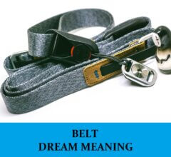 Dream About Belt