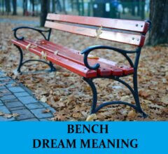 Dream About Bench
