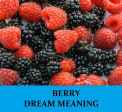 Dream About Berries