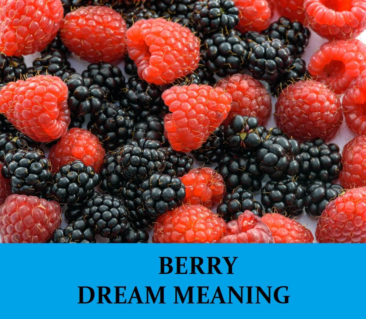 Dream About Berries