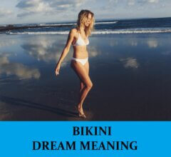 Dream About Bikinis
