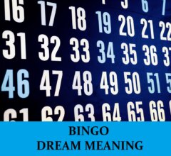 Dream About Bingo