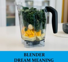 Dream About Blenders