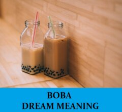 Dream About Boba