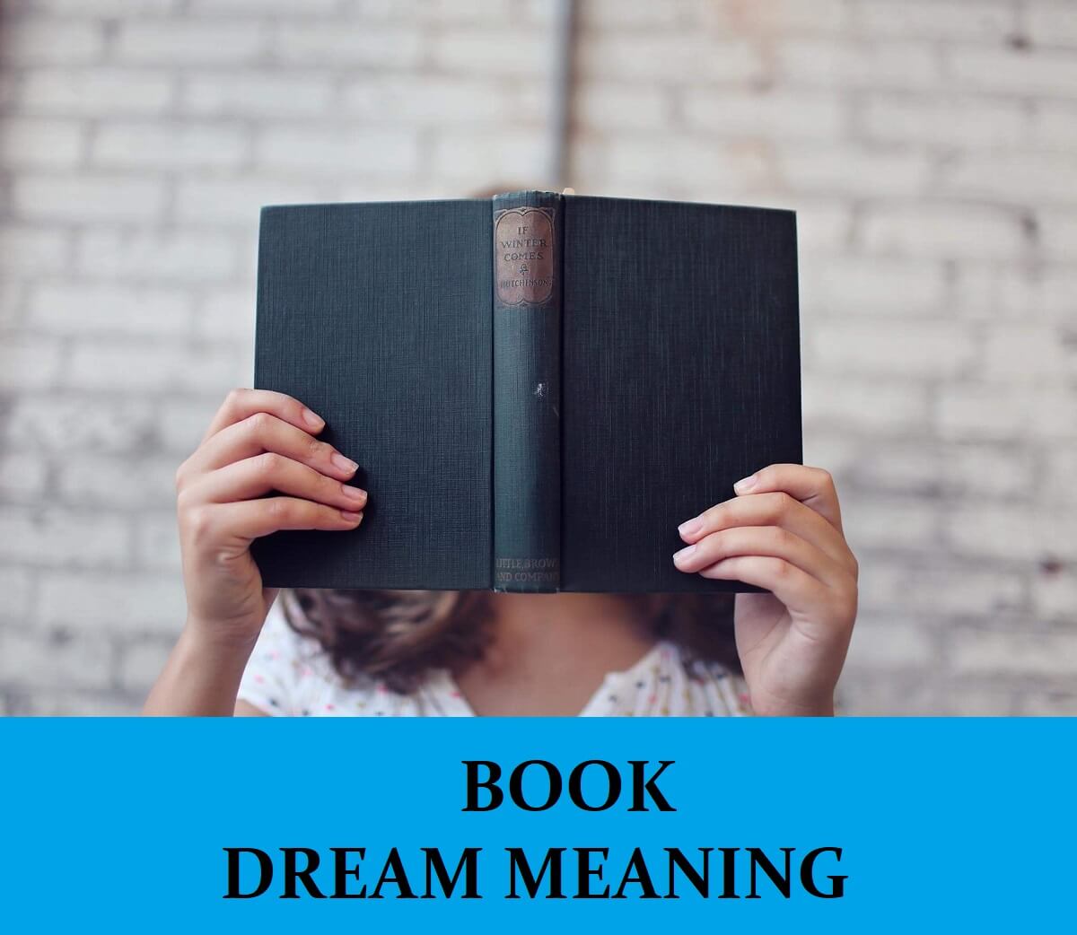 Dream About Books