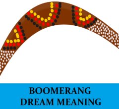 Dream About Boomerang