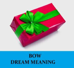 Dream About Bows