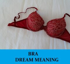 Dream About Bras