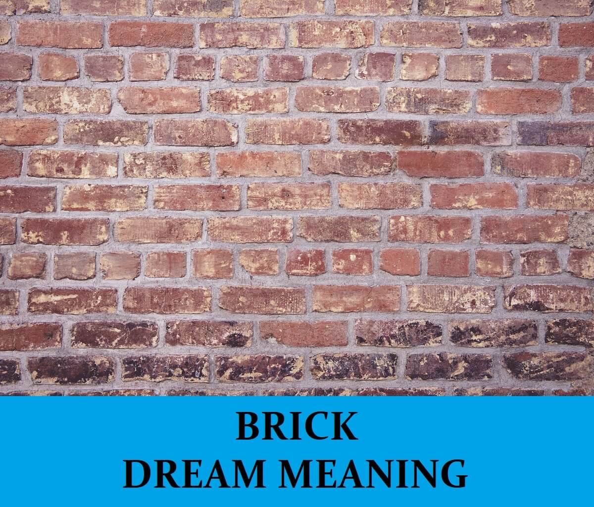Dream About Bricks