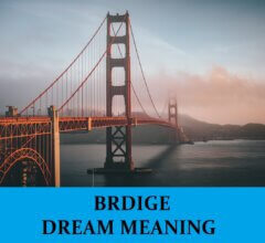 Dream About Bridge