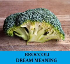 Dream About Broccoli