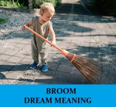 Dream About Brooms