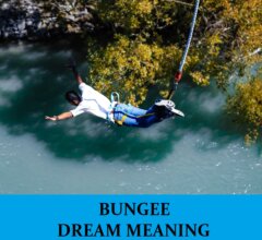 Dream About Bungee