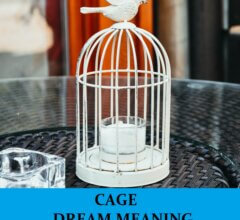 Dream About Cages