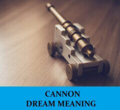 Dream About Cannons